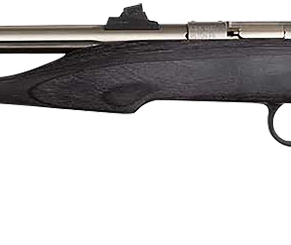 Chipmunk 40103 Hunter  Youth Frame 22 LR Single Shot 9" Threaded Stainless Steel Barrel, Black Laminate Frame