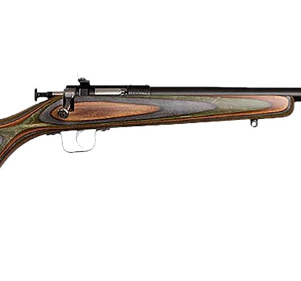 Chipmunk 00005 Gen2  22 LR 1rd 16.10" Blued Tapered Single Shot Barrel, Fixed Camo Laminate Stock