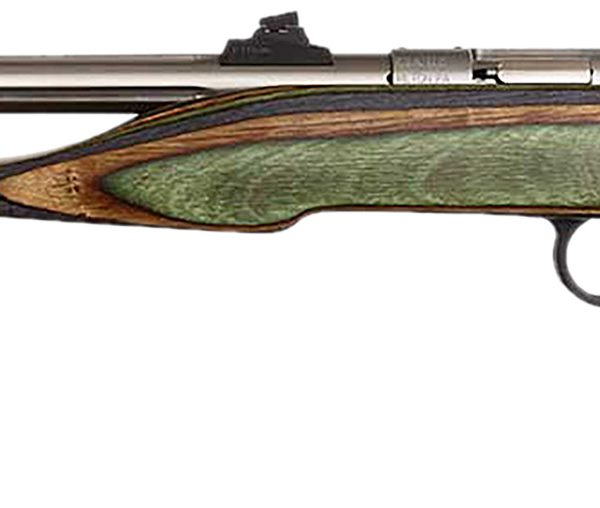 Chipmunk 41105 Hunter Adult 22 Mag 1rd 9" Threaded Stainless Steel Single Shot Barrel, Camo Laminate Stock