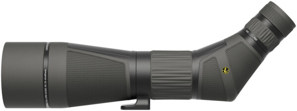 Leupold 185679 SX-4 Pro Guide HD G2 Angled Body 20-60x 85mm Black