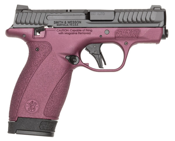 S&W BODYGRD 2.0    14661 TS H-319 BCF
