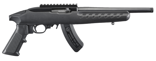 Ruger22ChargerPolymerFrame.png