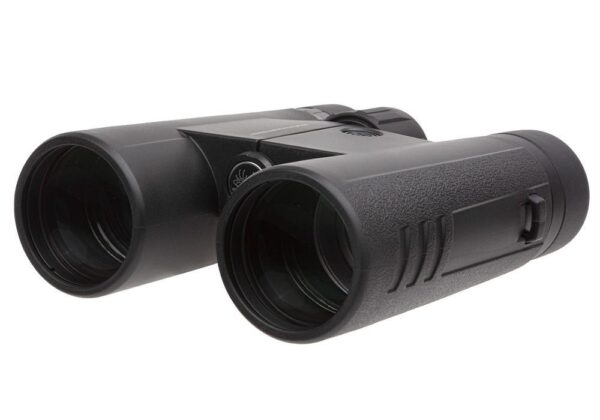 SIG SAUER BUCKMASTERS BINO 10X42 BLK