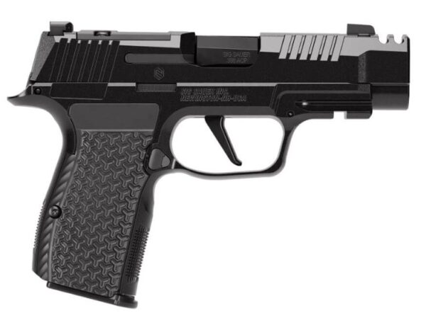 P365 AXG LUXE 380ACP 3.1 OR Xray3 Blk (3)12rd