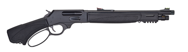 HENRY REPEATING ARMS H10 BEARS LEG 45-70 BL/SY PIST
